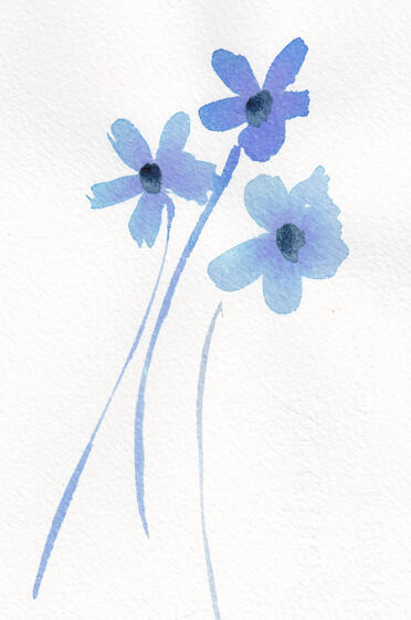 Three Blue Flowers