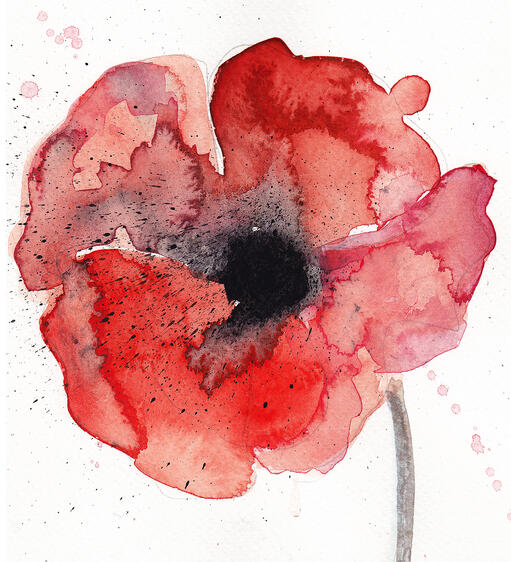 Red Poppy