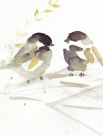 Chickadees