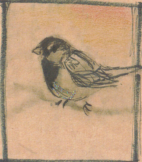 Winter Sparrow