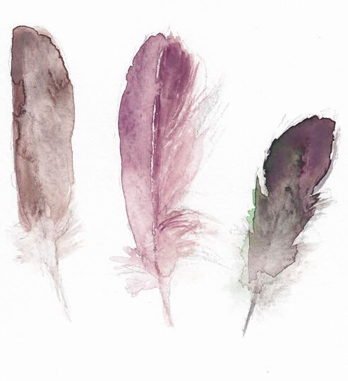 Three Feathers