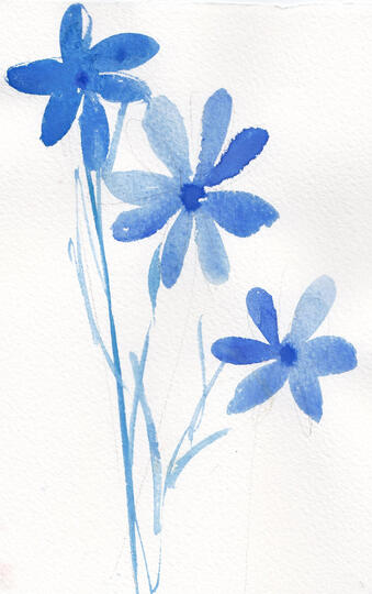 Blue Spring Flowers